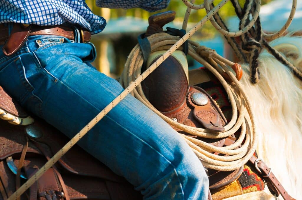 horse, saddle, nature-1955278.jpg